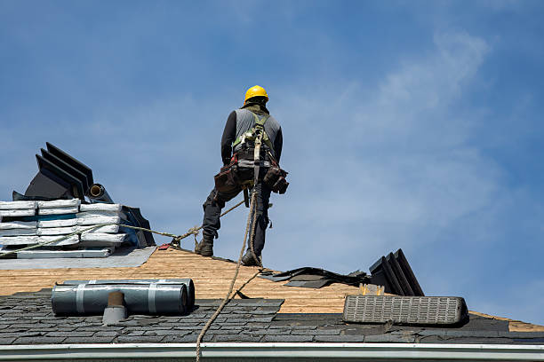 Professional Gutter Installation technician working in Greenville, FL
